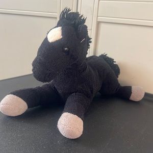 Black horse stallion